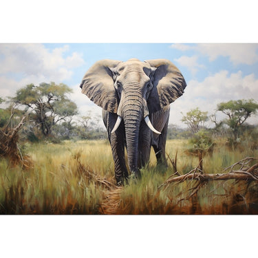 Elephant Canvas Colour